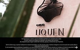 Casa Liquen